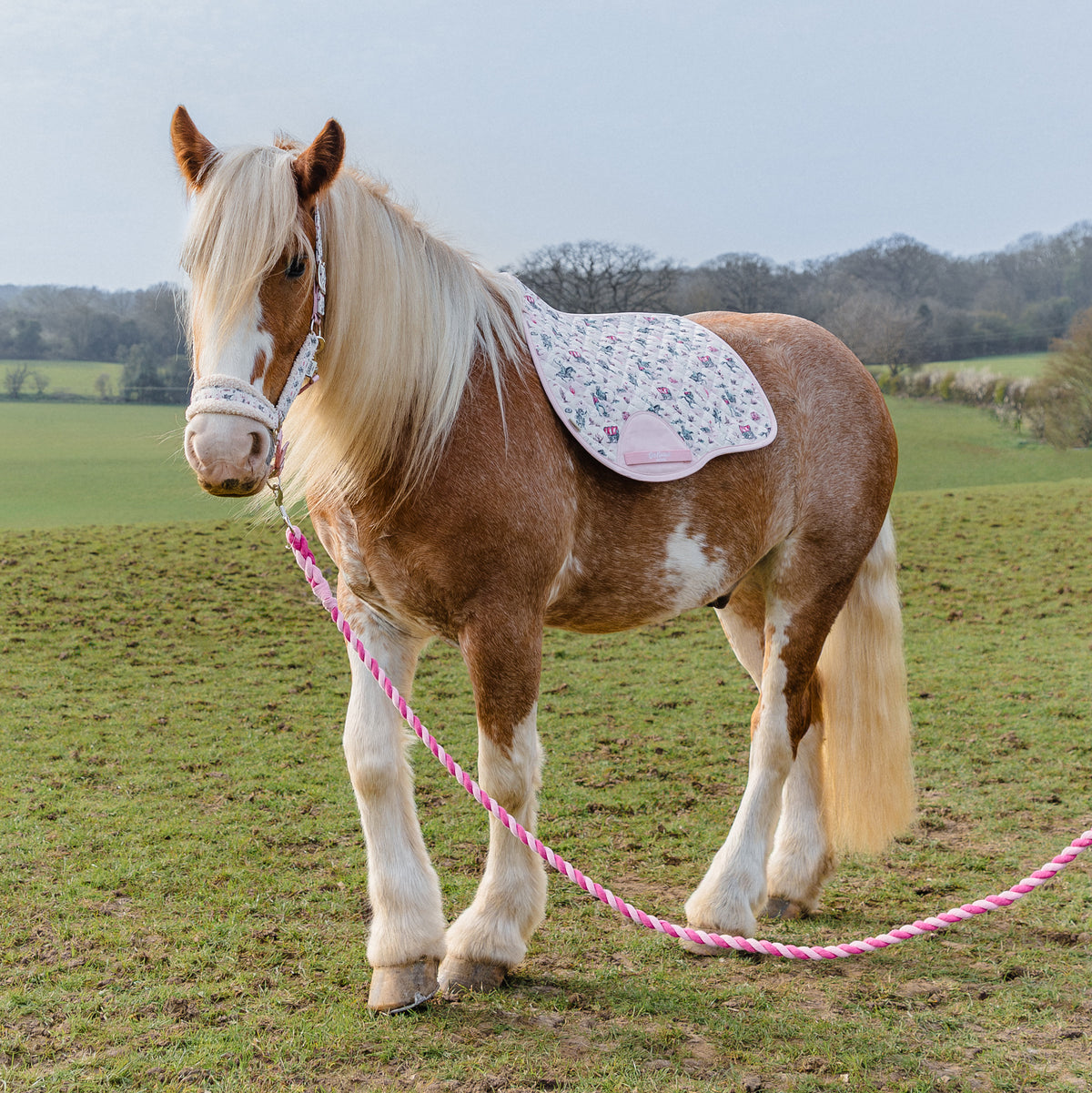 Cath Kidston Equestrian Cowgirl Headcollar & Lead Rope Set