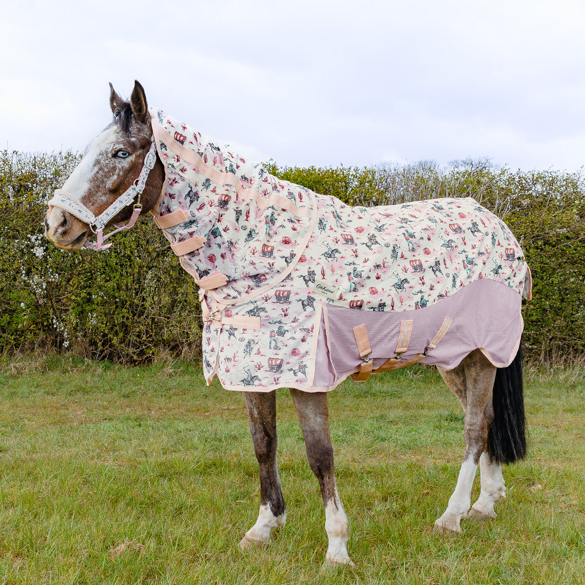 Cath Kidston Equestrian Cowgirl Rain Sheet & Fly Rug Combo