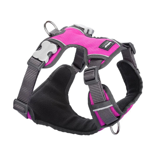 Red Dingo Padded Plain Hot Pink Dog Harness