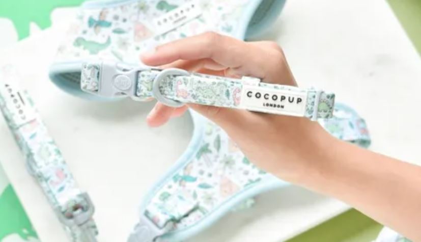 Cocopup Dinopaws Dog Collar