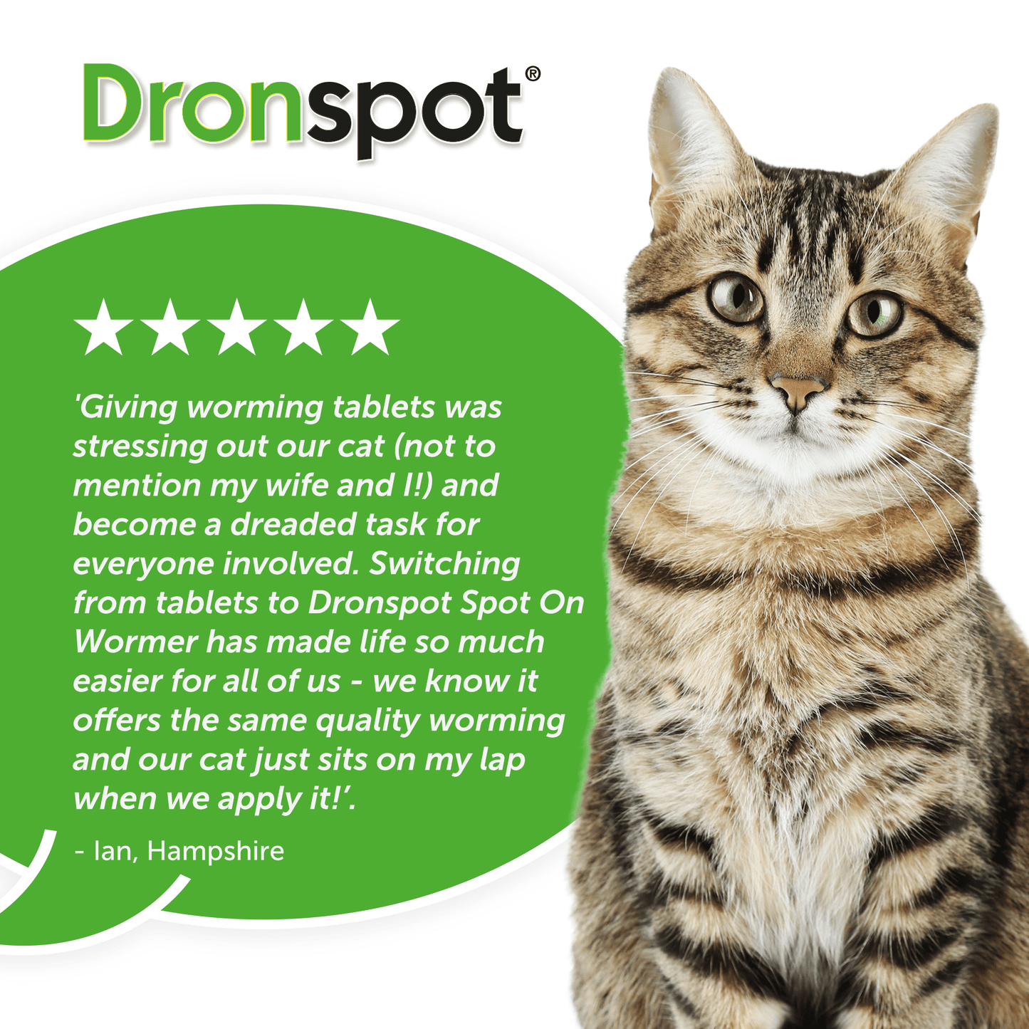 Dronspot Spot On Wormer for Cats