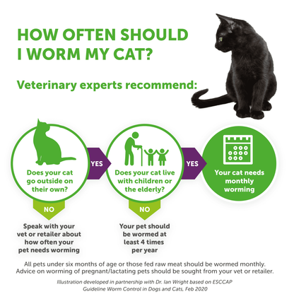 How often should  I worm my cat usingDrontal XL Worming Tablets for Large Cats and Kittens