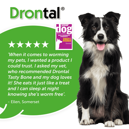 Drontal Tasty Bone Worming Tablets for Small and Medium Dogs 2kg to 20kg