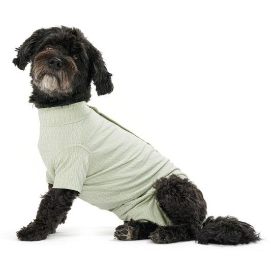 BUSTER Body Suit Dog Step'n Go Dusty Green