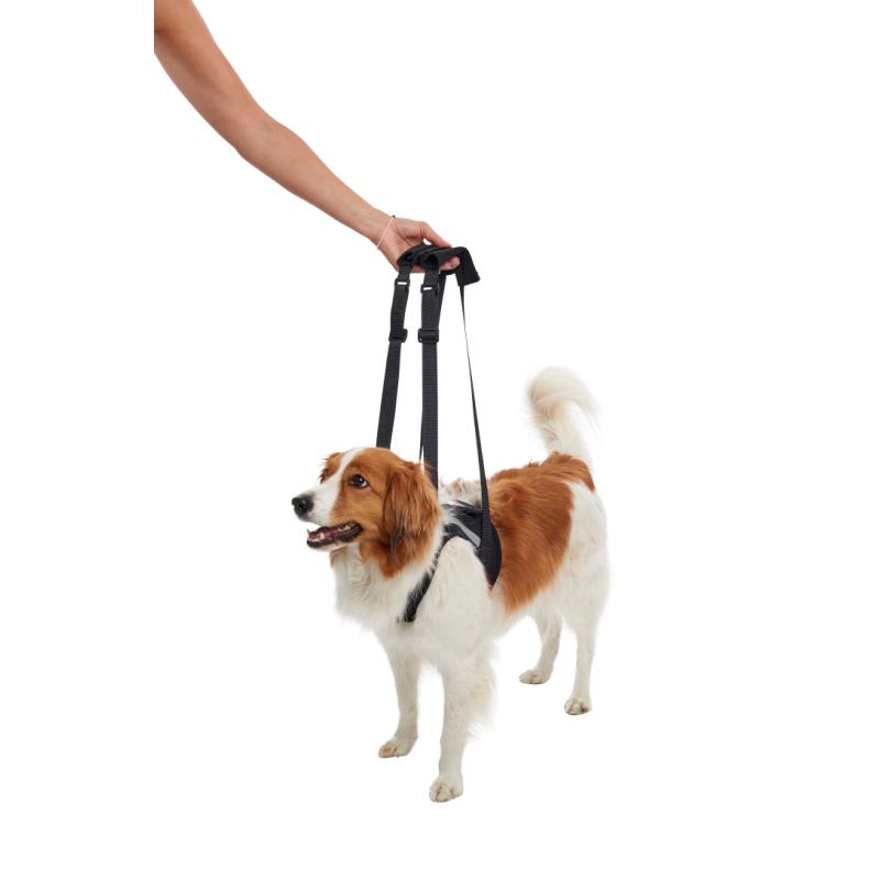 KRUUSE Rehab Lift Harness Front Legs