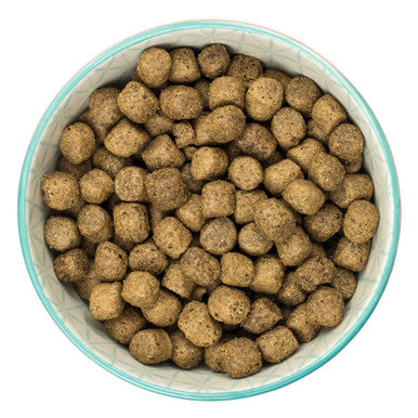 Burns Original Adult/Senior Dry Dog Food - Chicken & Brown Rice