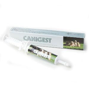 Canigest Nutritional Paste Dog