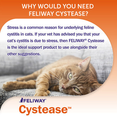 Feliway Cystease Advanced Urinary Tract Supplement