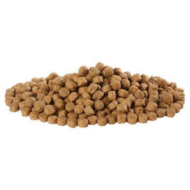 Harringtons Adult Dry Dog Food - Salmon & Potato