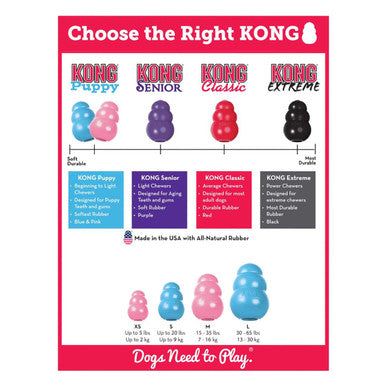 Kong Puppy Assorted Chew Dog Toy