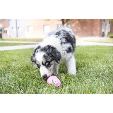 Kong Puppy Assorted Chew Dog Toy