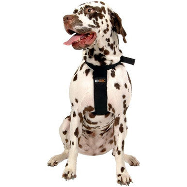 Pet Brands Rac Dog Car Harness