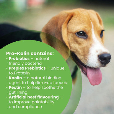 Protexin Pro-Kolin Probiotic Paste for Dog & Cat 15ml