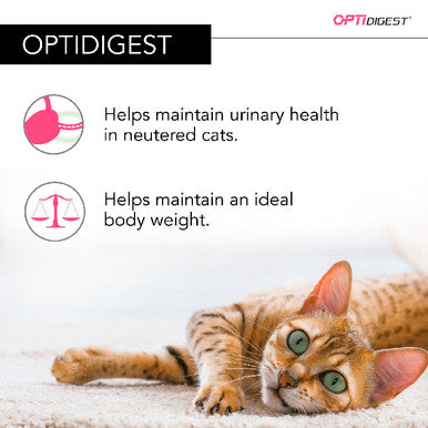 Purina Pro Plan Optidigest Sterilised Adult Dy Cat Food - Chicken & Rice