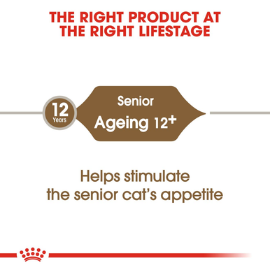 Royal Canin Ageing 12+ Senior Dry Cat Food