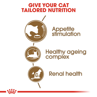 Royal Canin Ageing 12+ Senior Dry Cat Food