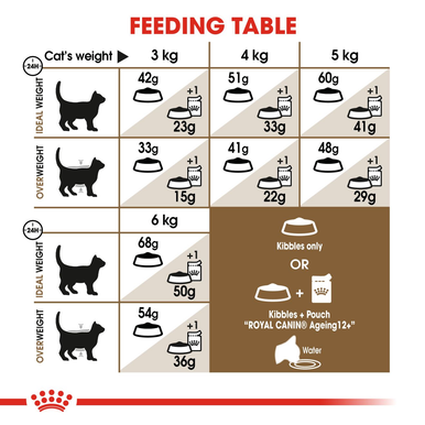 Royal Canin Ageing 12+ Senior Dry Cat Food