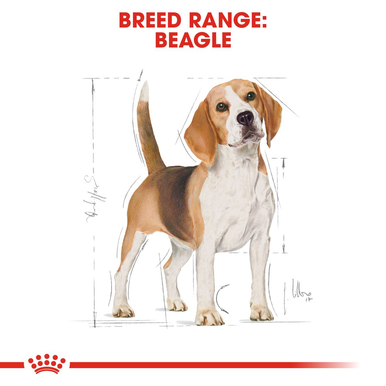 Royal Canin Adult Beagle Dry Dog Food