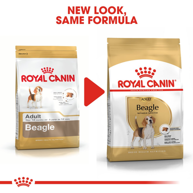 Royal Canin Adult Beagle Dry Dog Food