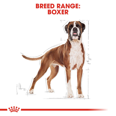 Royal Canin Boxer Adult Dry Dog Food