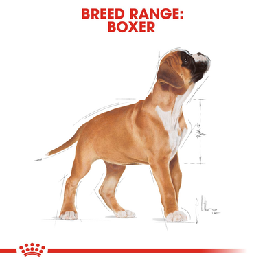 Royal Canin Boxer Puppy Dry Dog Food