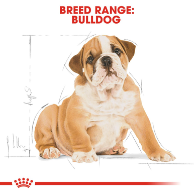 Royal Canin Puppy Bulldog Dry Dog Food