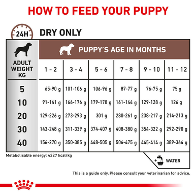 Royal Canin Gastrointestinal Puppy Dry Dog Food