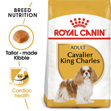 Royal Canin Cavalier King Charles Adult Dry Dog Food