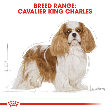 Royal Canin Cavalier King Charles Adult Dry Dog Food