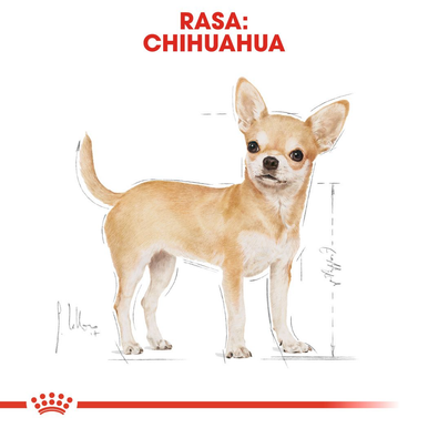 Royal Canin Chihuahua Adult Dry Dog Food