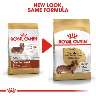 Royal Canin Dachshund Adult Dry Dog Food