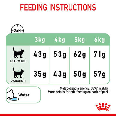 Royal Canin Digestive Care Adult Dry Cat Food