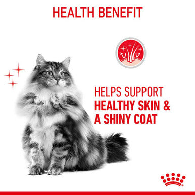 Royal Canin Hair & Skin Care 33 Adult Dry Cat Food