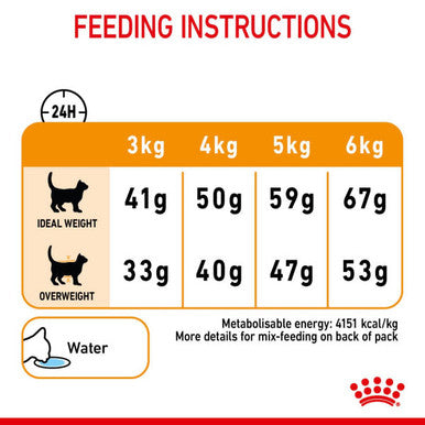 Royal Canin Hair & Skin Care 33 Adult Dry Cat Food