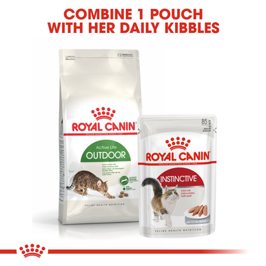 Royal Canin Outdoor Adult Dry Cat Food