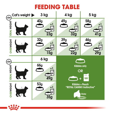 Royal Canin Outdoor Adult Dry Cat Food