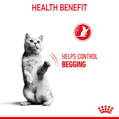 Royal Canin Appetite Control Sterilised Adult Dry Cat Food