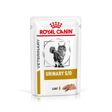 Royal Canin Urinary S/O in Loaf Adult Wet Cat Food