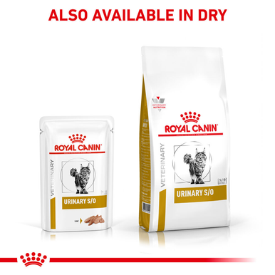 Royal Canin Urinary S/O in Loaf Adult Wet Cat Food