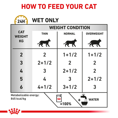 Royal Canin Urinary S/O in Loaf Adult Wet Cat Food