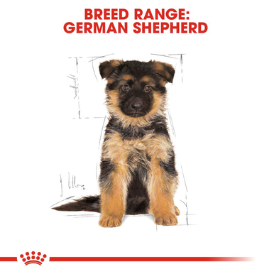 Royal Canin German Shepherd Puppy Dry Dog Food