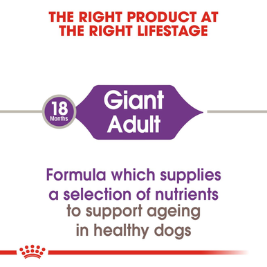 Royal Canin Giant Adult Dry Dog Food