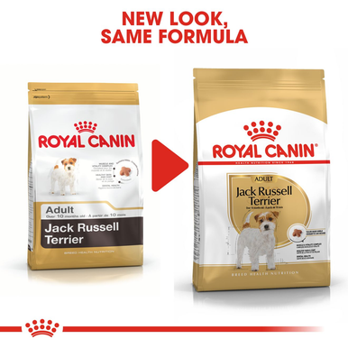 Royal Canin Jack Russell Adult Dry Dog Food