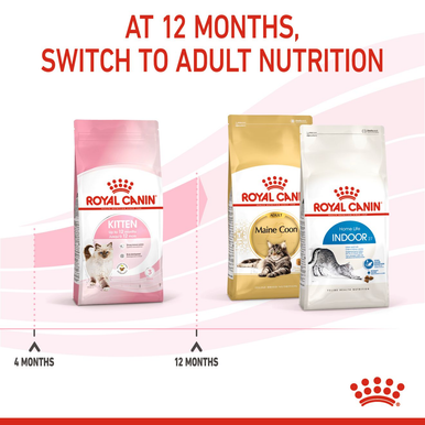 Royal Canin Kitten Dry Cat Food