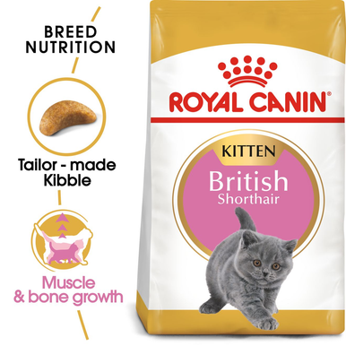 Kitten British Shorthair Dry Cat Food
