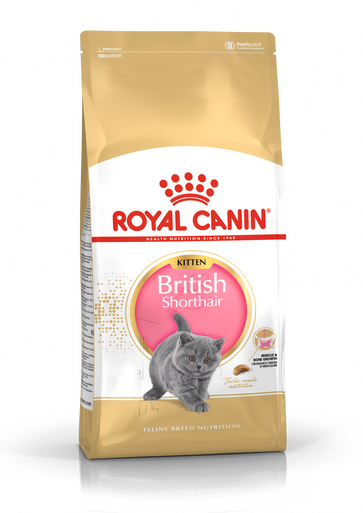 Royal Canin Kitten British Shorthair Dry Cat Food