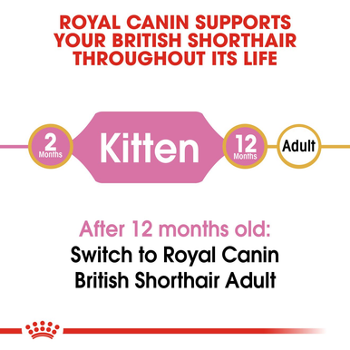 Royal Canin British Shorthair Kitten Cat Dry - Main Image