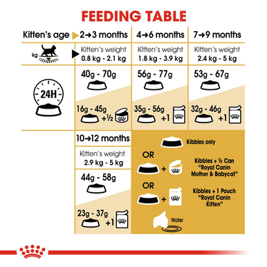 Royal Canin Kitten British Shorthair Dry Cat Food