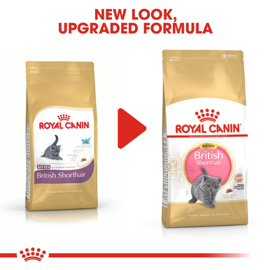 Royal Canin Kitten British Shorthair Dry Cat Food