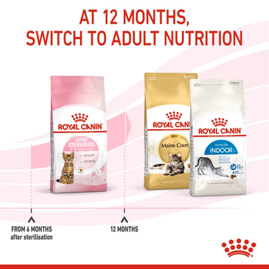 Royal Canin Kitten Sterilised Dry Cat Food